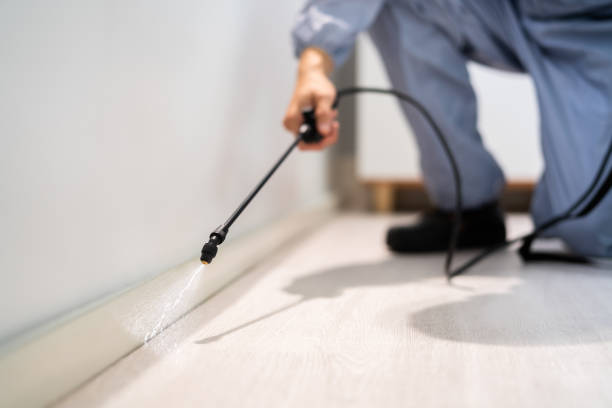 Bed Bug Pre-Treatment Preparation Assessment in Linntown