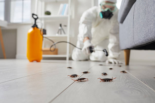 Post-Treatment Bed Bug Interceptor Monitoring in Linntown
