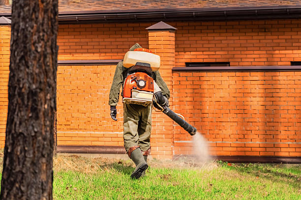 Bed Bug Clearance Verification and Documentation in Linntown